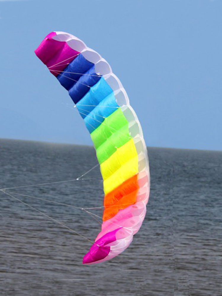 Professional 1.4/2/2.7m Dual L - огляд і ціна Kite Surf Bar Control